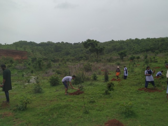 Plantation of one thousand saplings