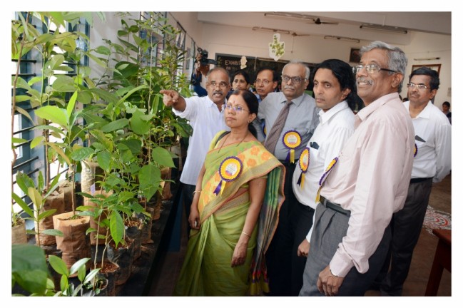 Exhibition on Medicinal plants