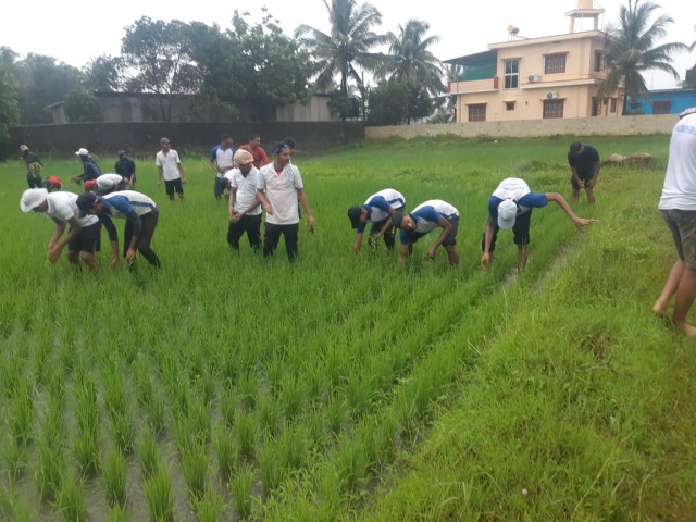 cultivation  exercise