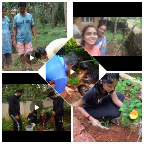 Environment day celebration by NSS Volunteers 