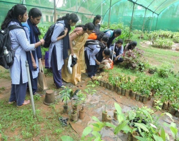 Certificate course - â€˜Nursery techniques in plant propagationâ€™